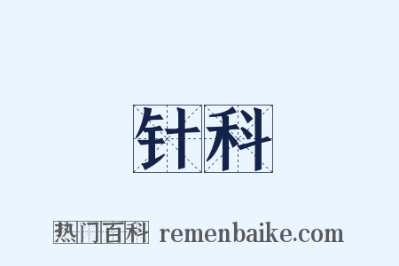 针科是什么意思的图片